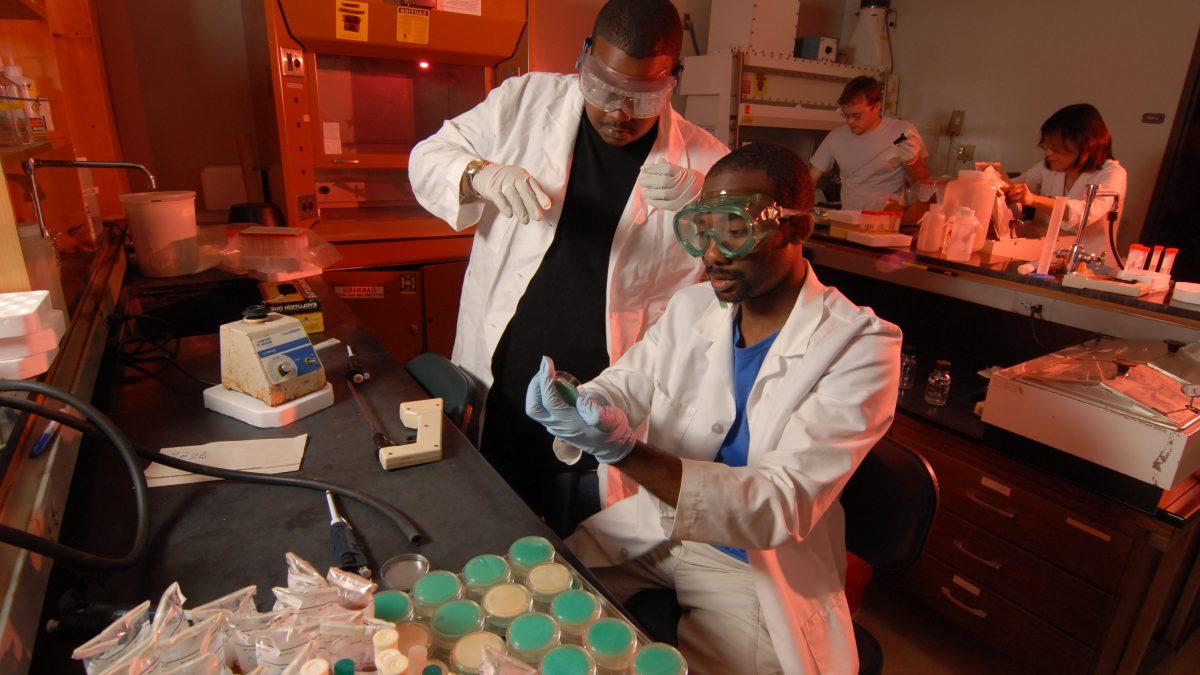 Workers in Gillings lab